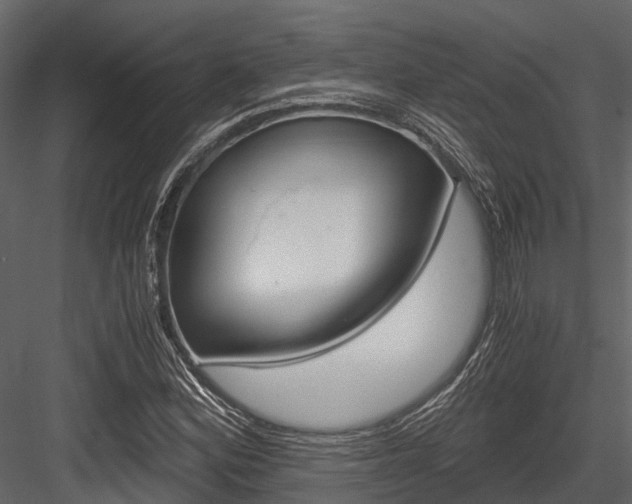 X0000084551164200702230927
