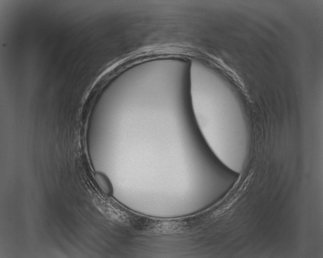X0000084551166200702230927