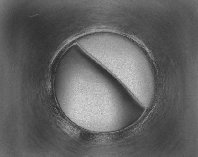 X0000084551167200702230927