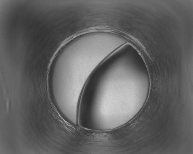 X0000084551168200702230927