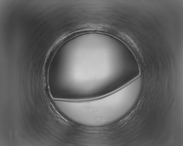 X0000084551172200702230927