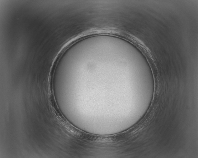 X0000084551174200702230927