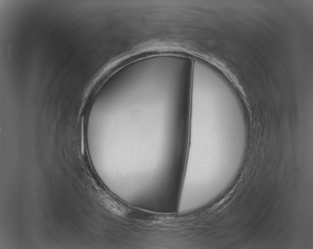 X0000084551175200702230927