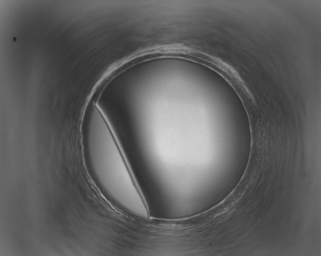 X0000084551176200702230927