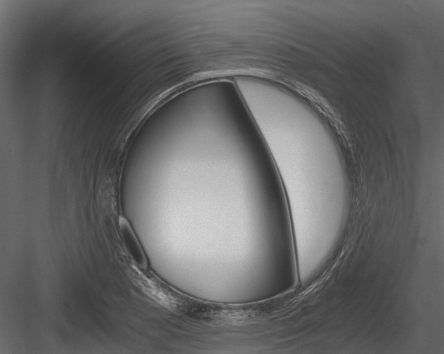 X0000084551177200702230927