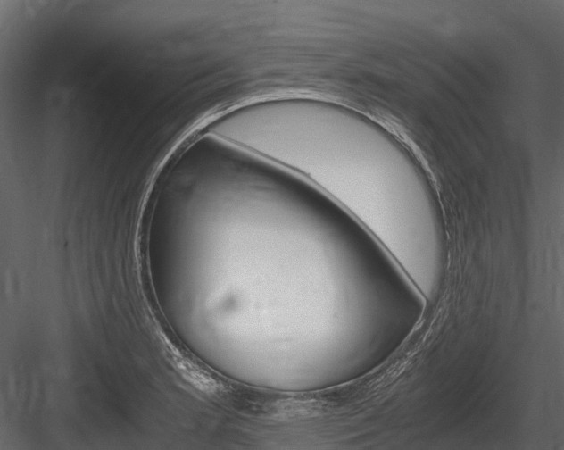 X0000084551181200702230927