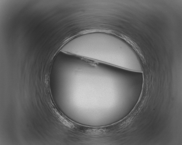 X0000084551185200702230927