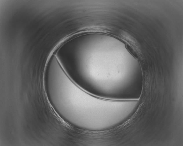 X0000084551188200702230927
