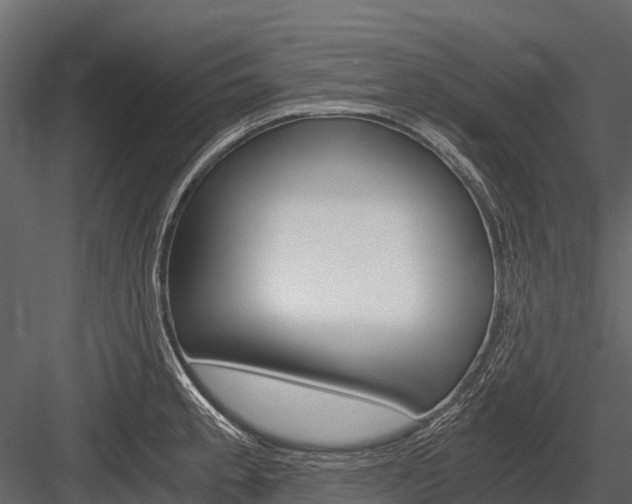 X0000084551189200702230927