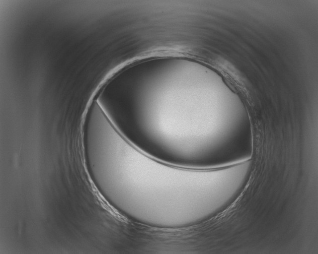 X0000084551192200702230927