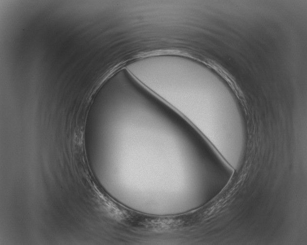 X0000084551193200702230927
