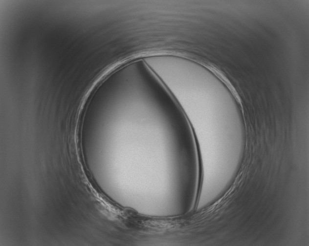 X0000084551197200702230927