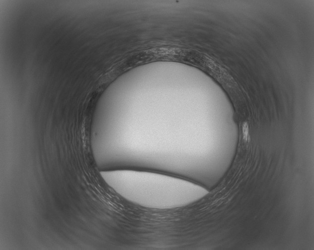 X0000084551203200702230926