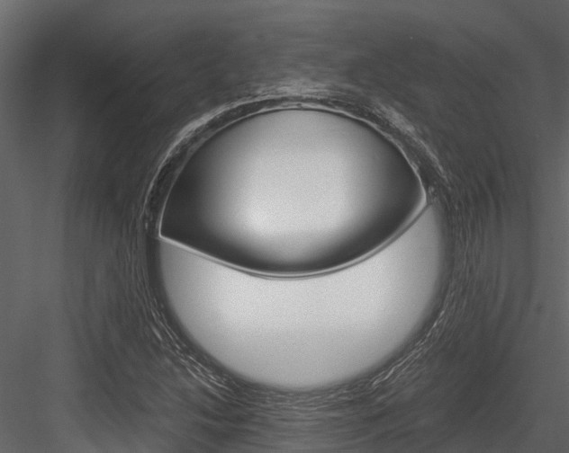 X0000084551214200702230926