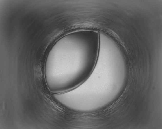 X0000084551218200702230926