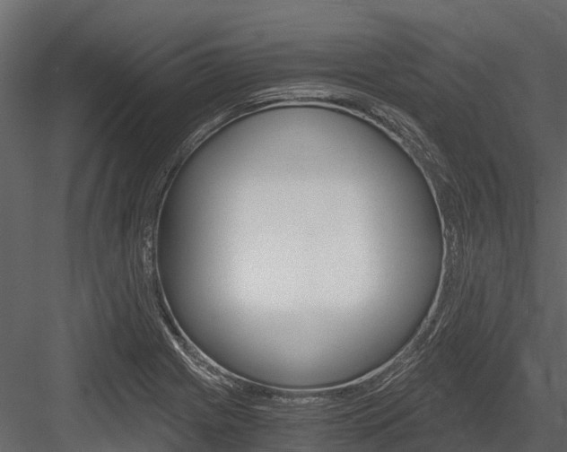 X0000084551225200702230926