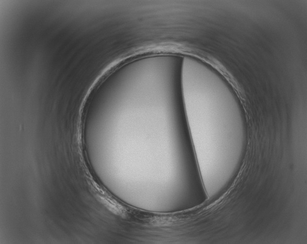 X0000084551232200702230926