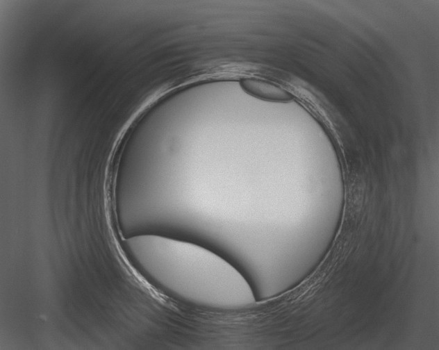 X0000084551235200702230926