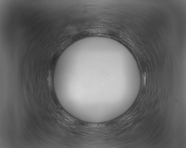 X0000084551251200702230926