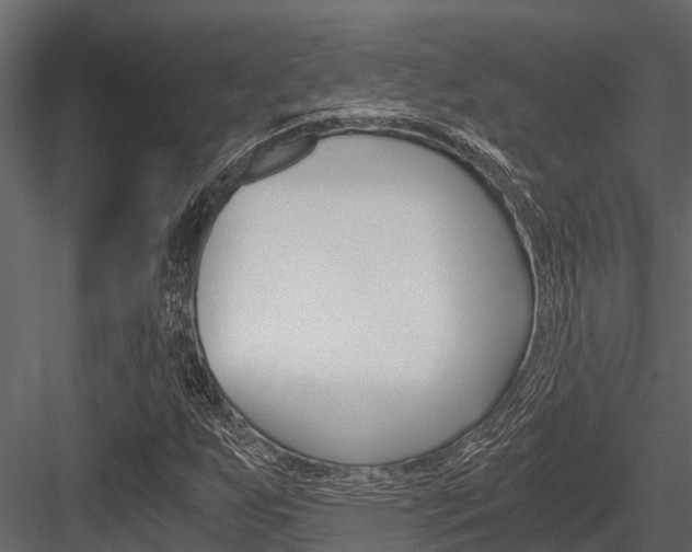 X0000084551255200702230926