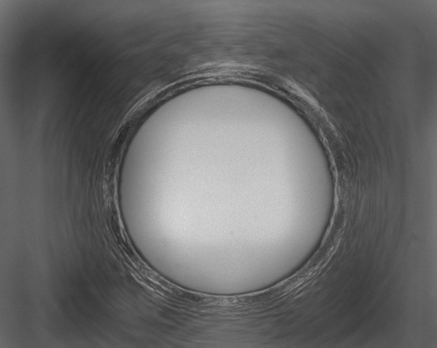 X0000084551259200702230925