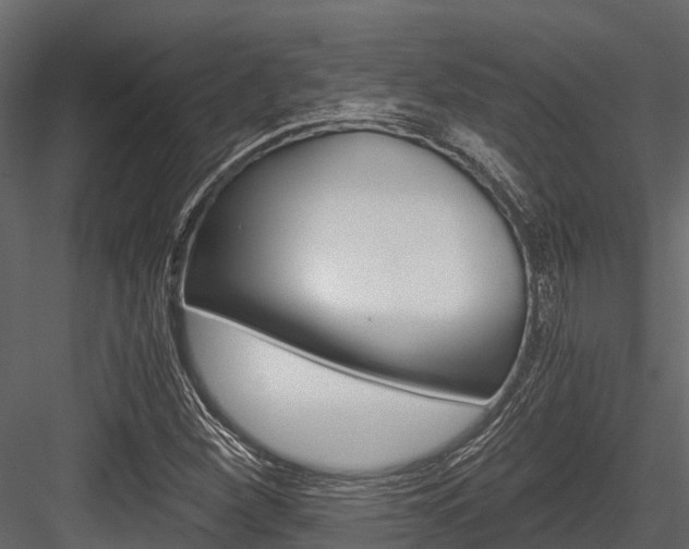 X0000084551260200702230925