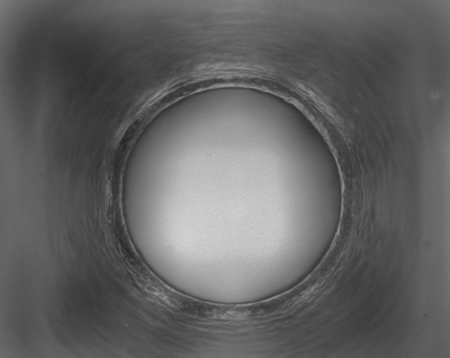 X0000084551261200702230925
