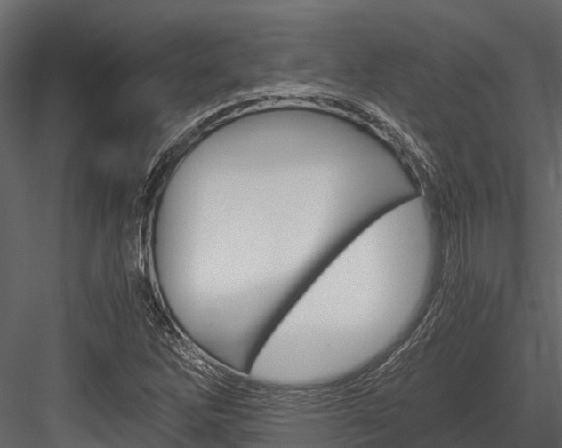 X0000084551262200702230925