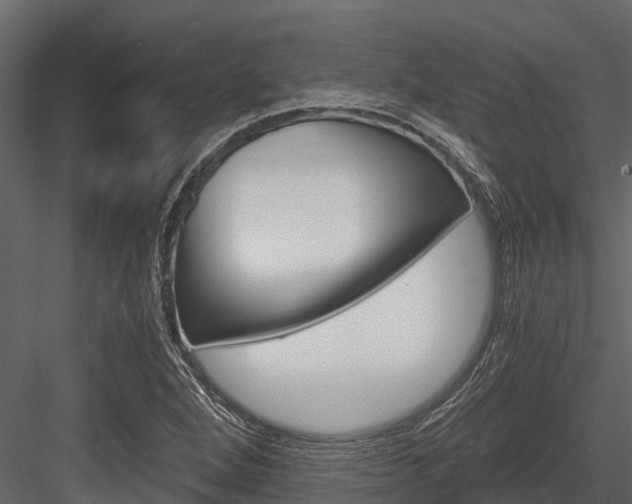 X0000084551264200702230925