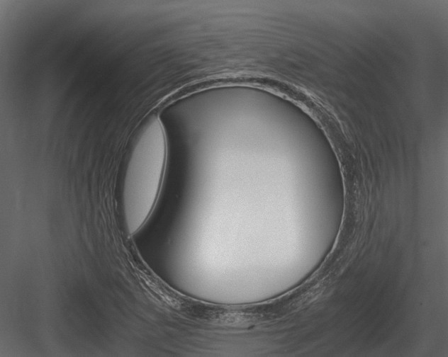 X0000084551265200702230925