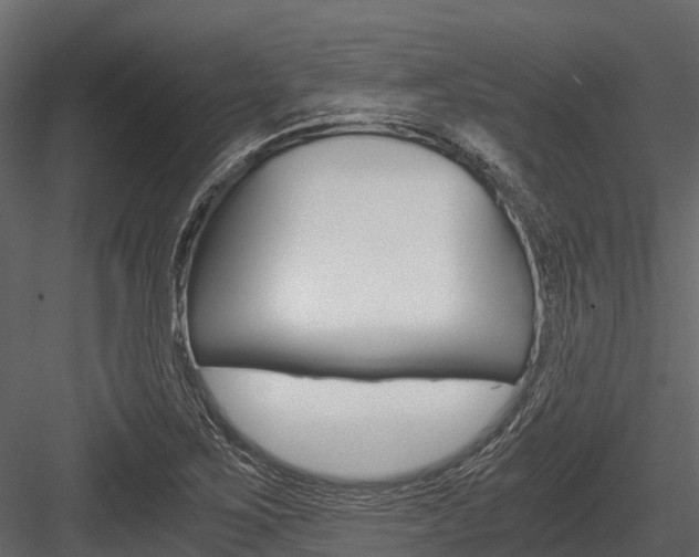 X0000084551267200702230925