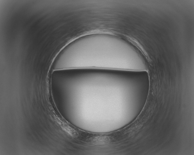 X0000084551268200702230925