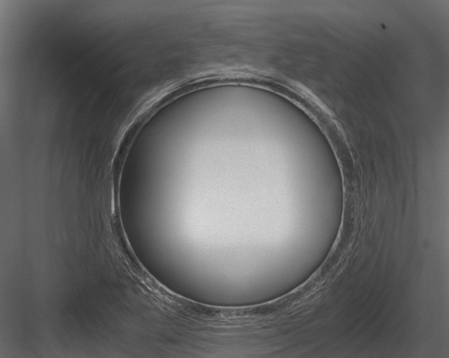 X0000084551269200702230925