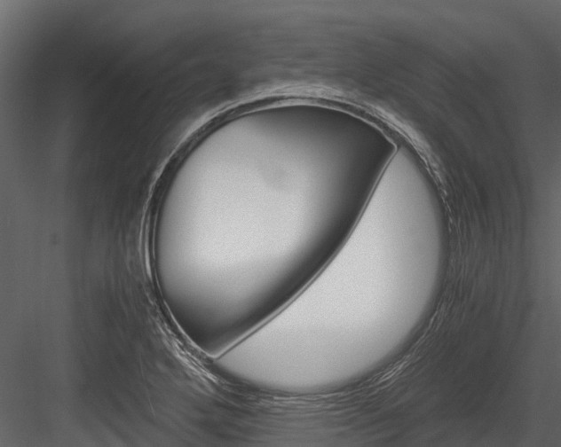 X0000084551272200702230925