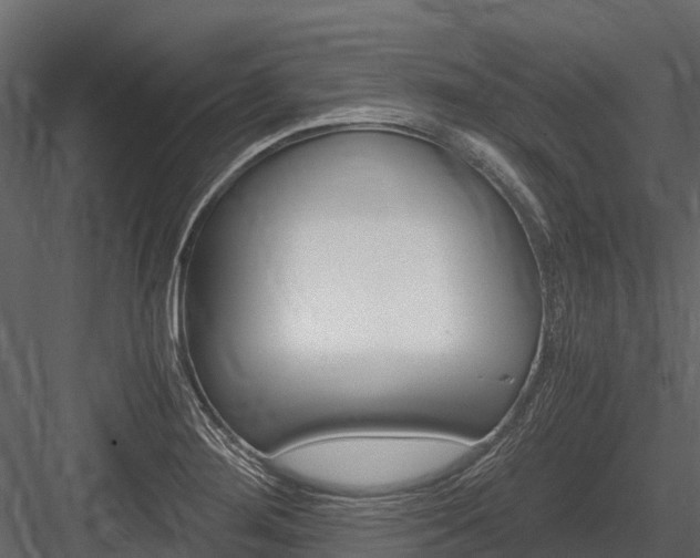 X0000084551276200702230925