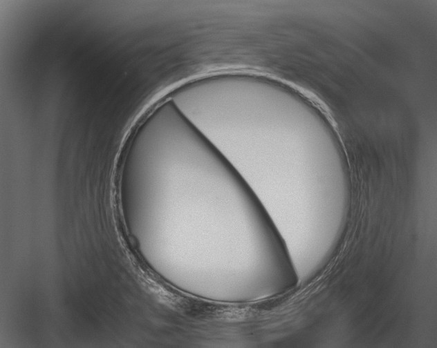 X0000084551279200702230925
