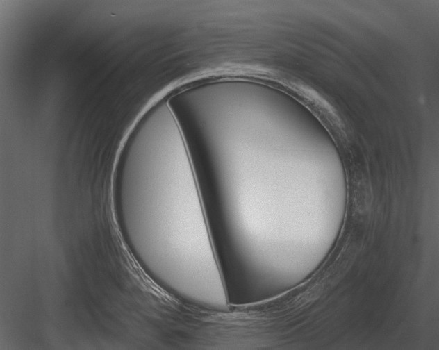 X0000084551280200702230925
