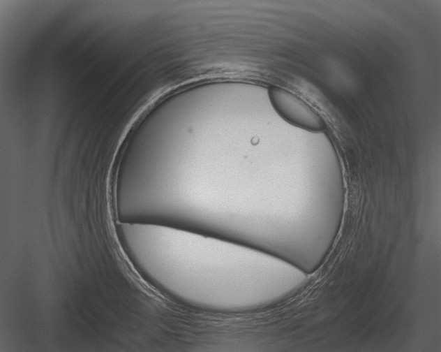 X0000084551283200702230925
