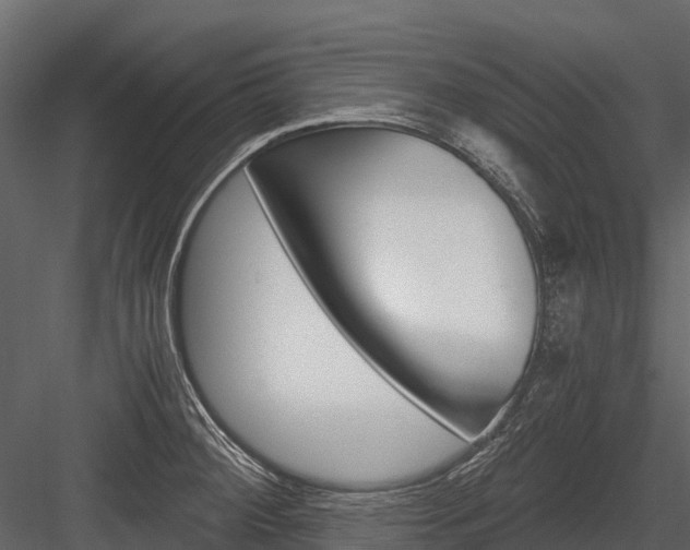 X0000084551284200702230925