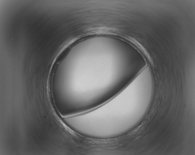 X0000084551285200702230925