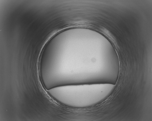 X0000084551291200702230925