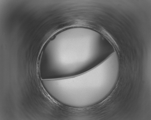 X0000084551292200702230925