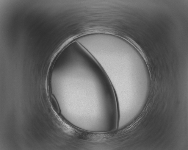 X0000084551293200702230925
