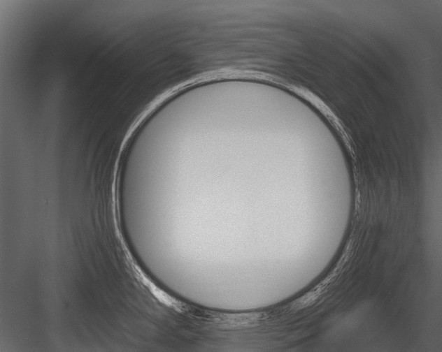 X0000084551294200702230925