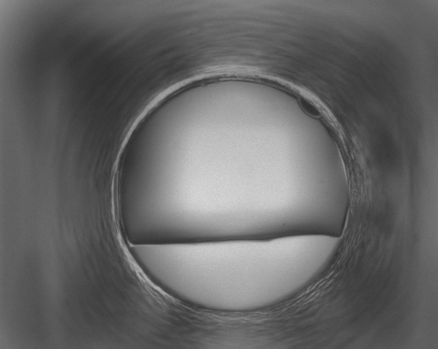X0000084551295200702230925