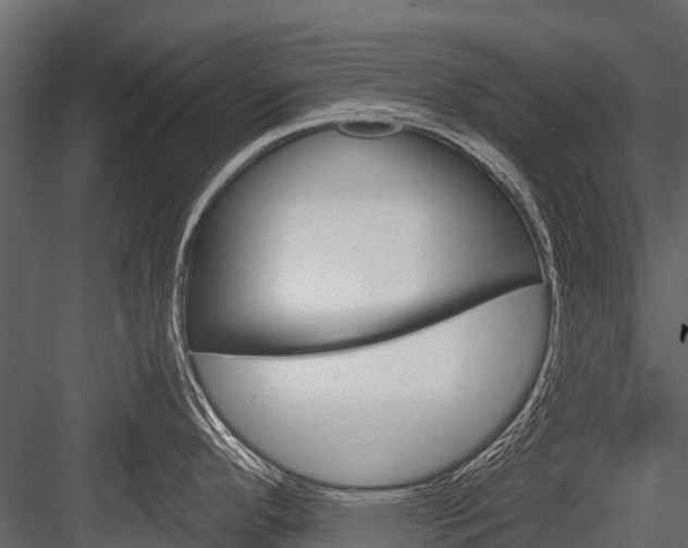 X0000084551296200702230925