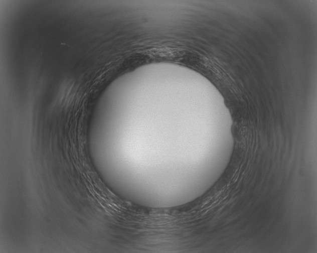 X0000084551297200702230924