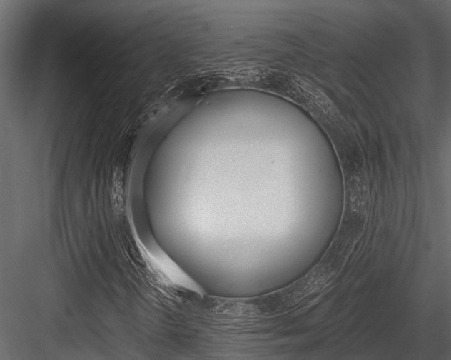 X0000084551298200702230924