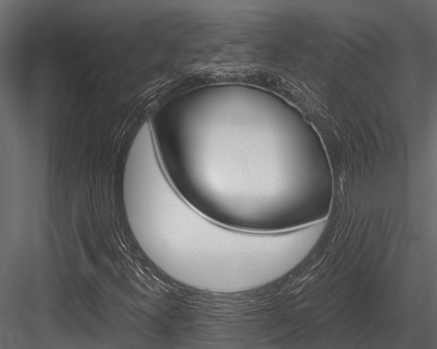 X0000084551300200702230924