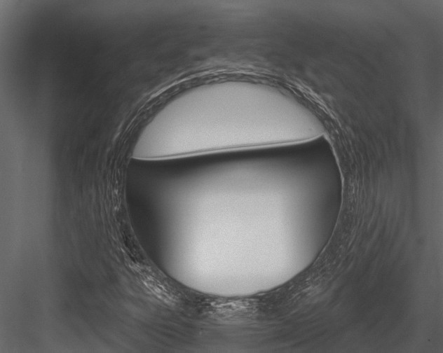 X0000084551303200702230924